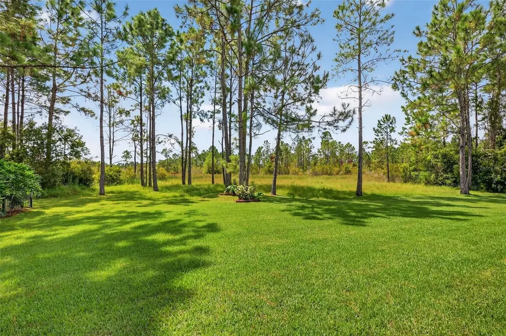 404 Long And Winding Road Howey In The Hills FL 34737
