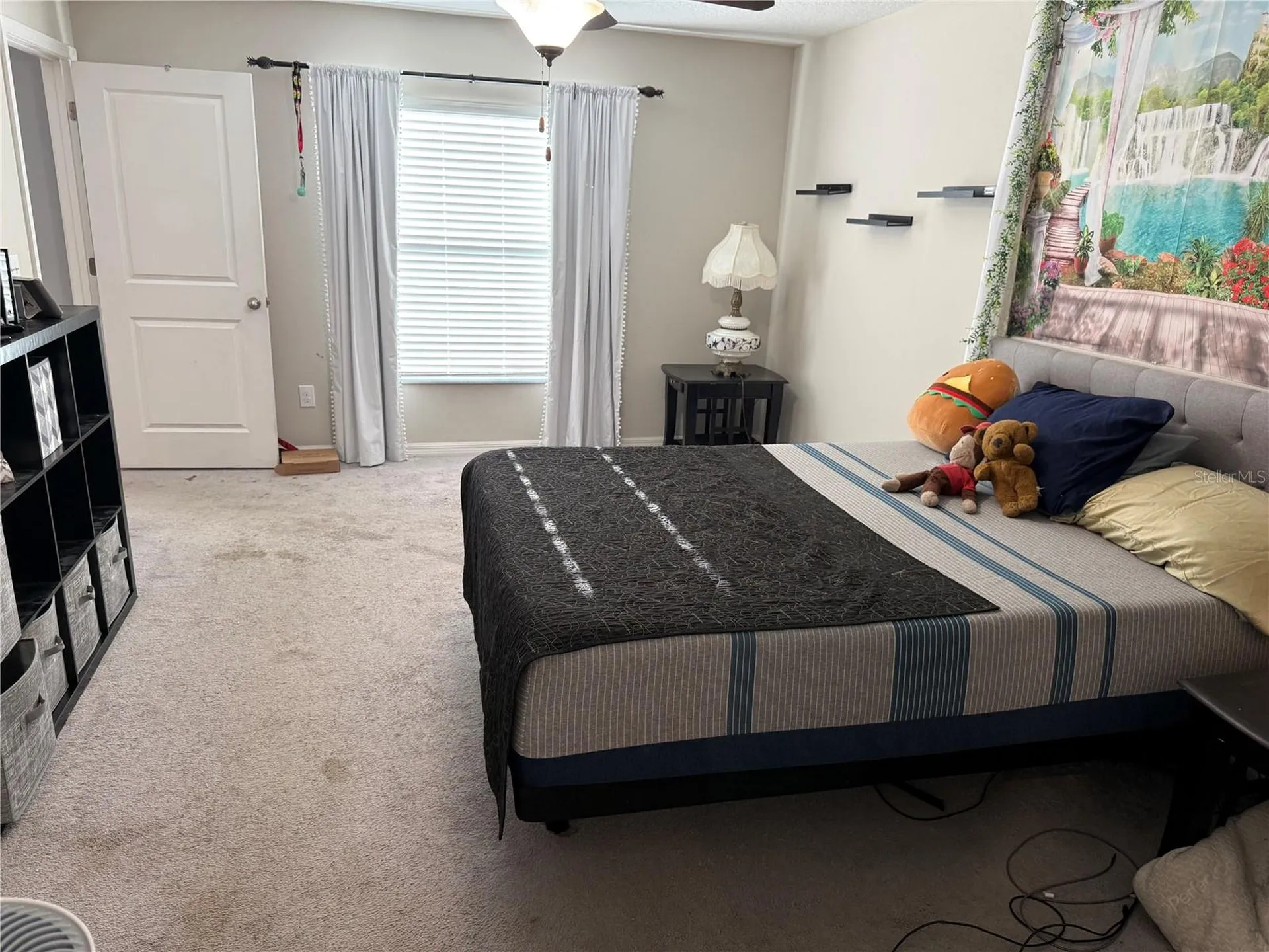 6629 Wagon Trail Street Zephyrhills FL 33541