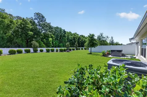 1018 Peach Creek Drive Osteen FL 32764