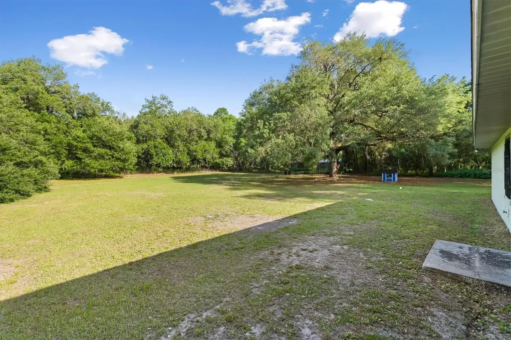 7175 County Road 213 Wildwood FL 34785