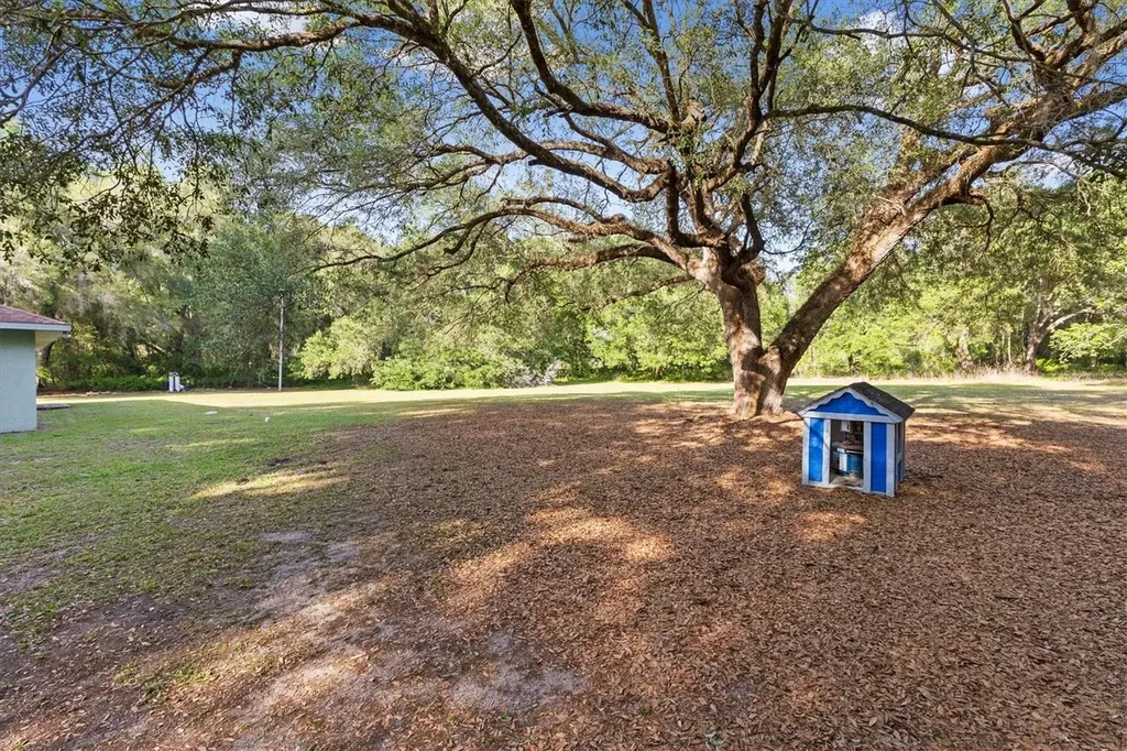 7175 County Road 213 Wildwood FL 34785