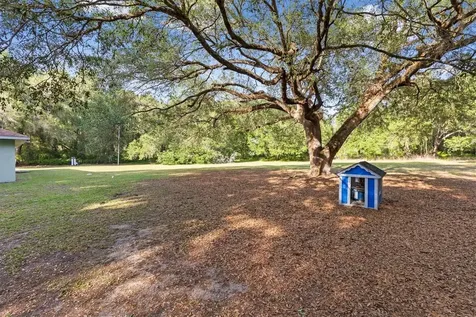 7175 County Road 213 Wildwood FL 34785