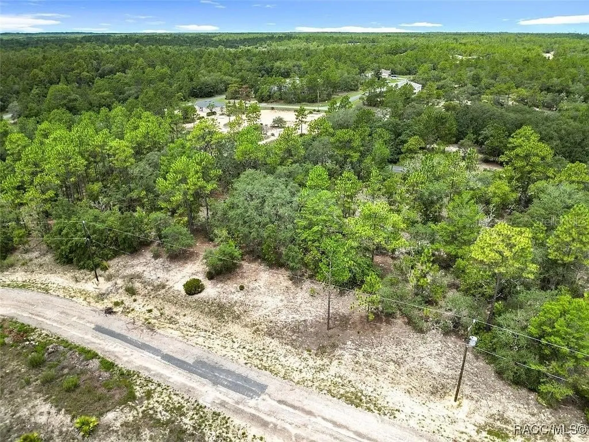 6688 N Sand Drive Dunnellon FL 34433
