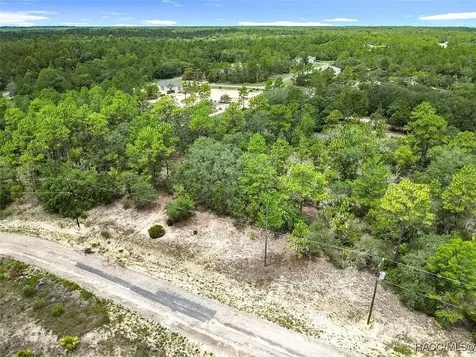 6688 N Sand Drive Dunnellon FL 34433