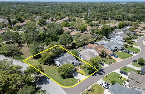 2182 Trevor Road Palm Harbor FL 34683