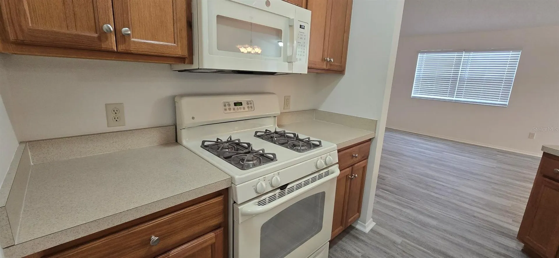 1009 Ridgeville Road The Villages FL 32162
