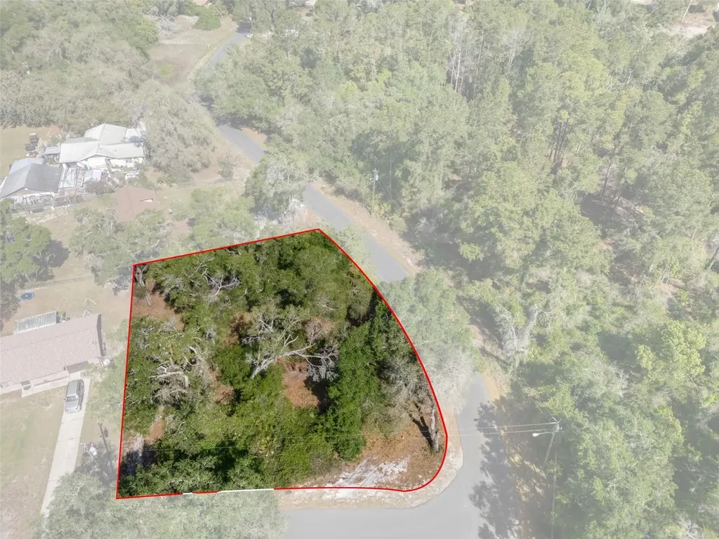 5043 Cardinal Drive Dade City FL 33523