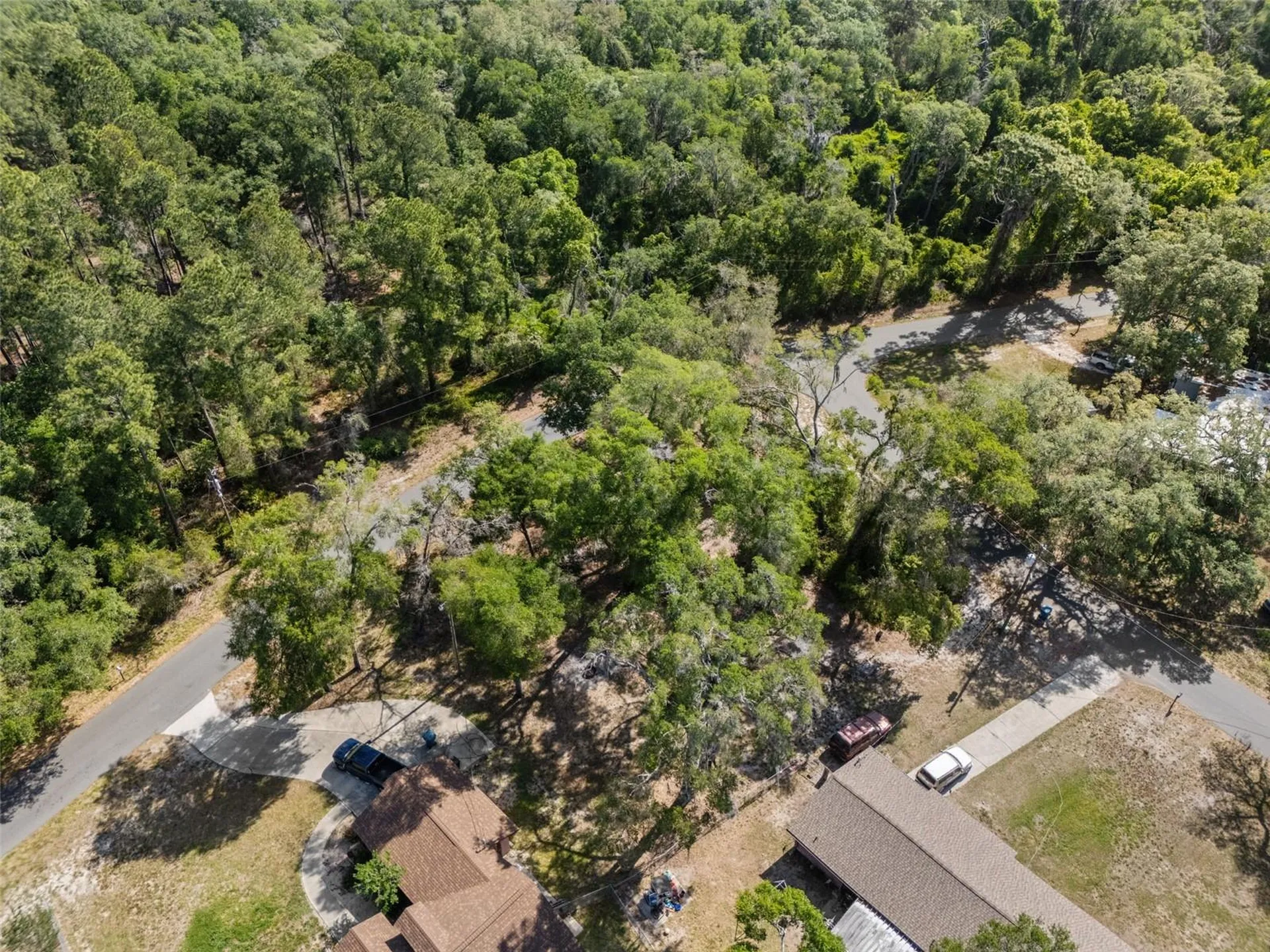 5043 Cardinal Drive Dade City FL 33523