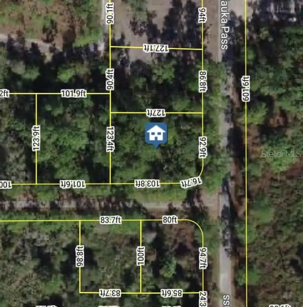 Xxx Malauka Pass Ocklawaha FL 32179