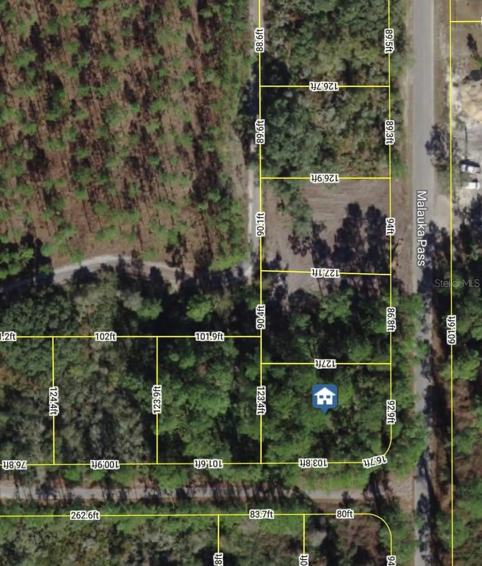 Xxx Malauka Pass Ocklawaha FL 32179
