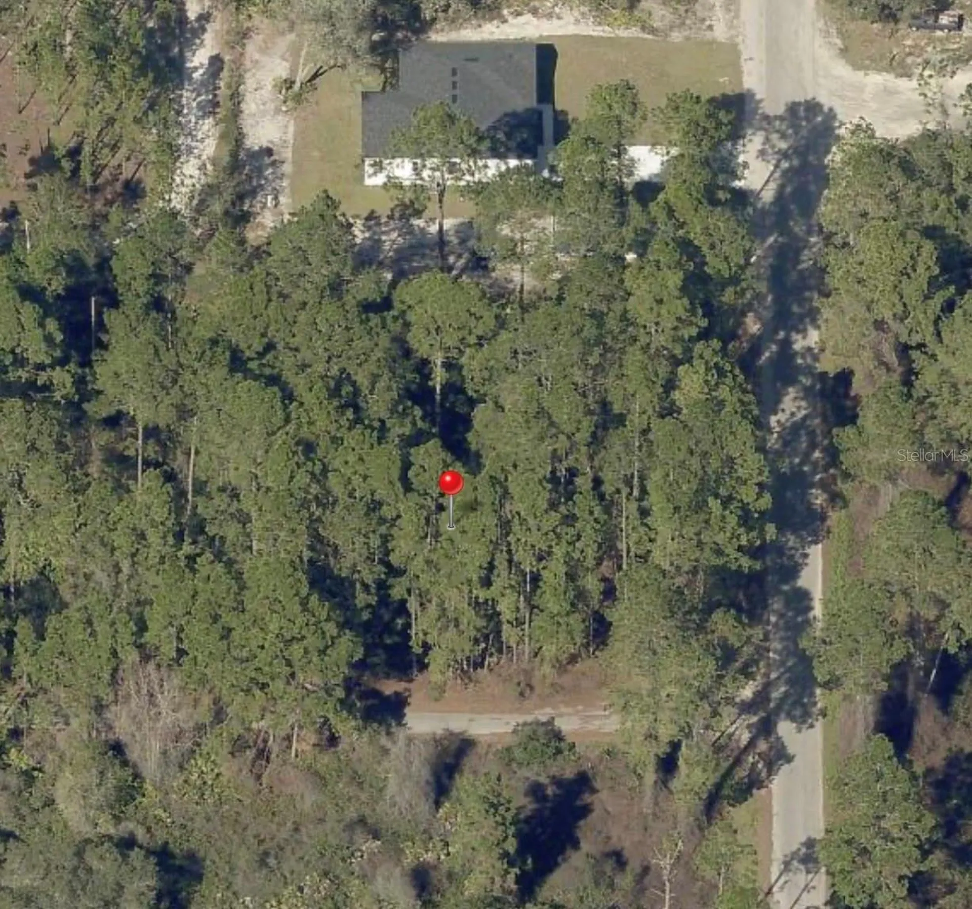 Xxx Malauka Pass Ocklawaha FL 32179