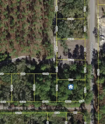 Xxx Malauka Pass Ocklawaha FL 32179