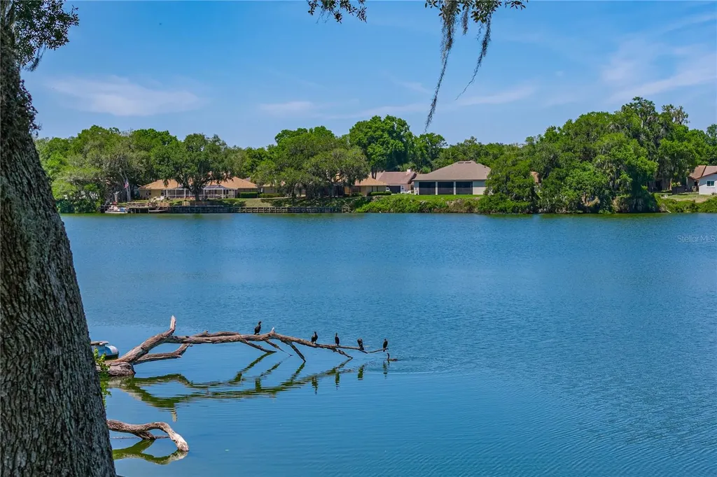 3167 Blackwater Oaks Way Mulberry FL 33860