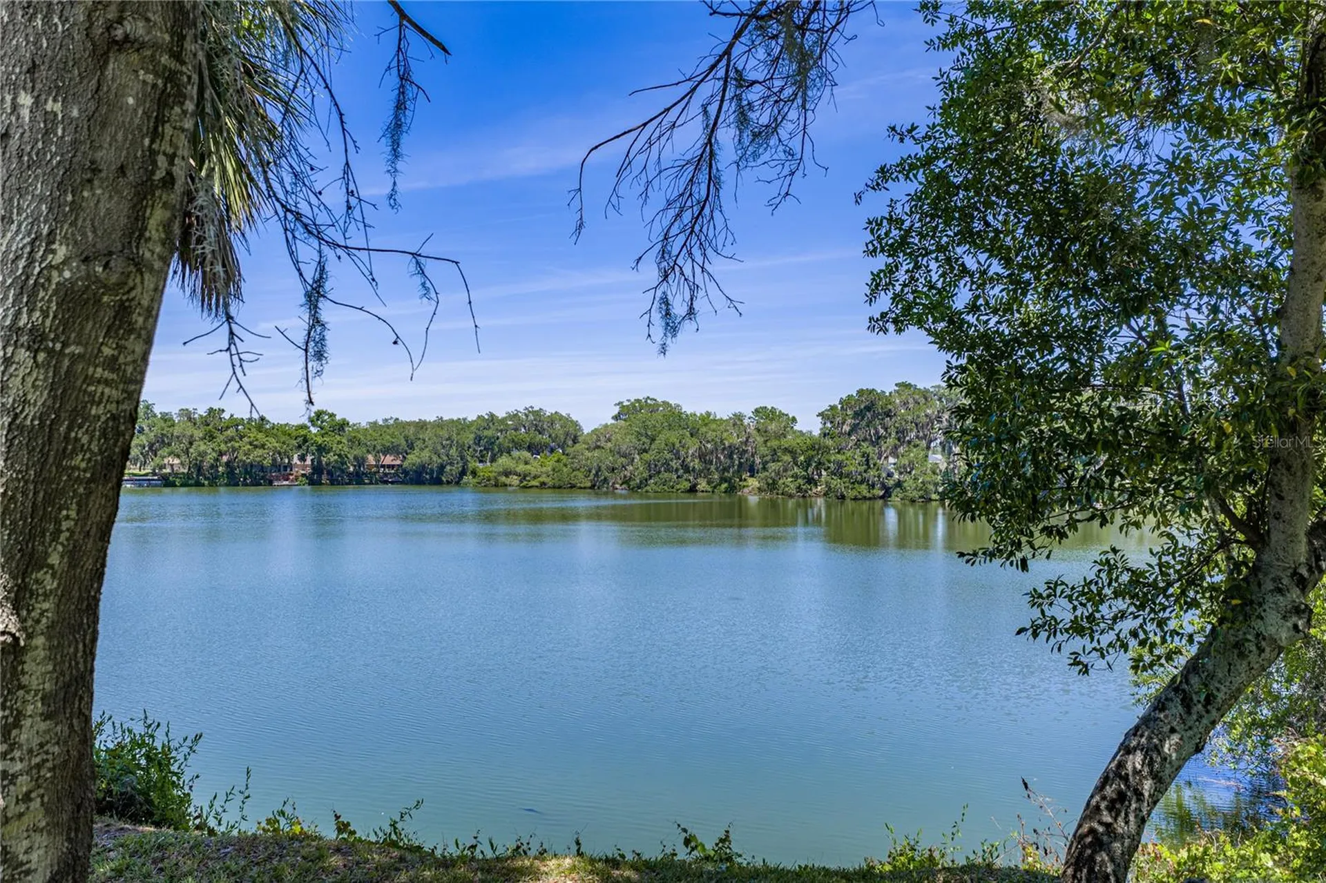 3167 Blackwater Oaks Way Mulberry FL 33860
