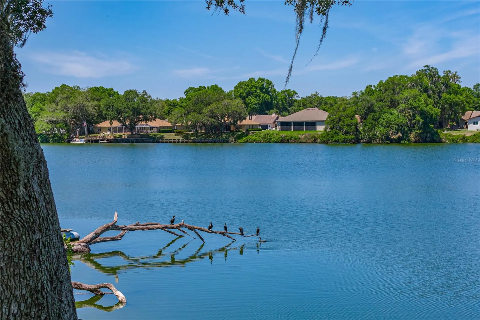 3167 Blackwater Oaks Way Mulberry FL 33860