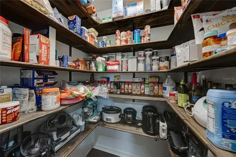 3167 Blackwater Oaks Way Mulberry FL 33860