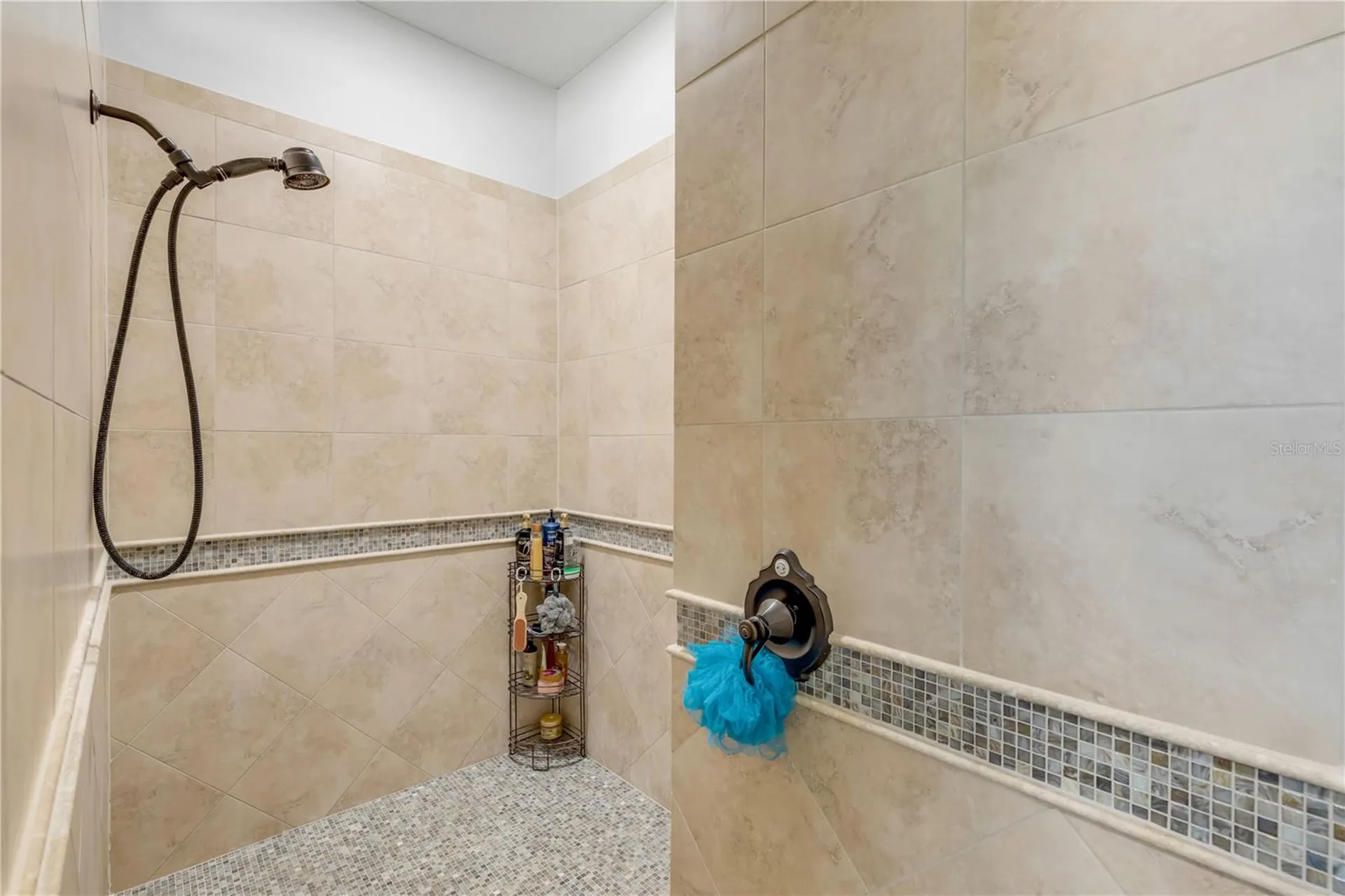 3029 Isola Bella Boulevard Mount Dora FL 32757