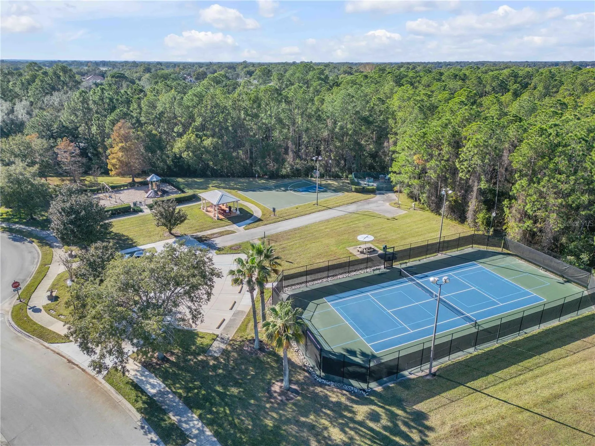 3029 Isola Bella Boulevard Mount Dora FL 32757
