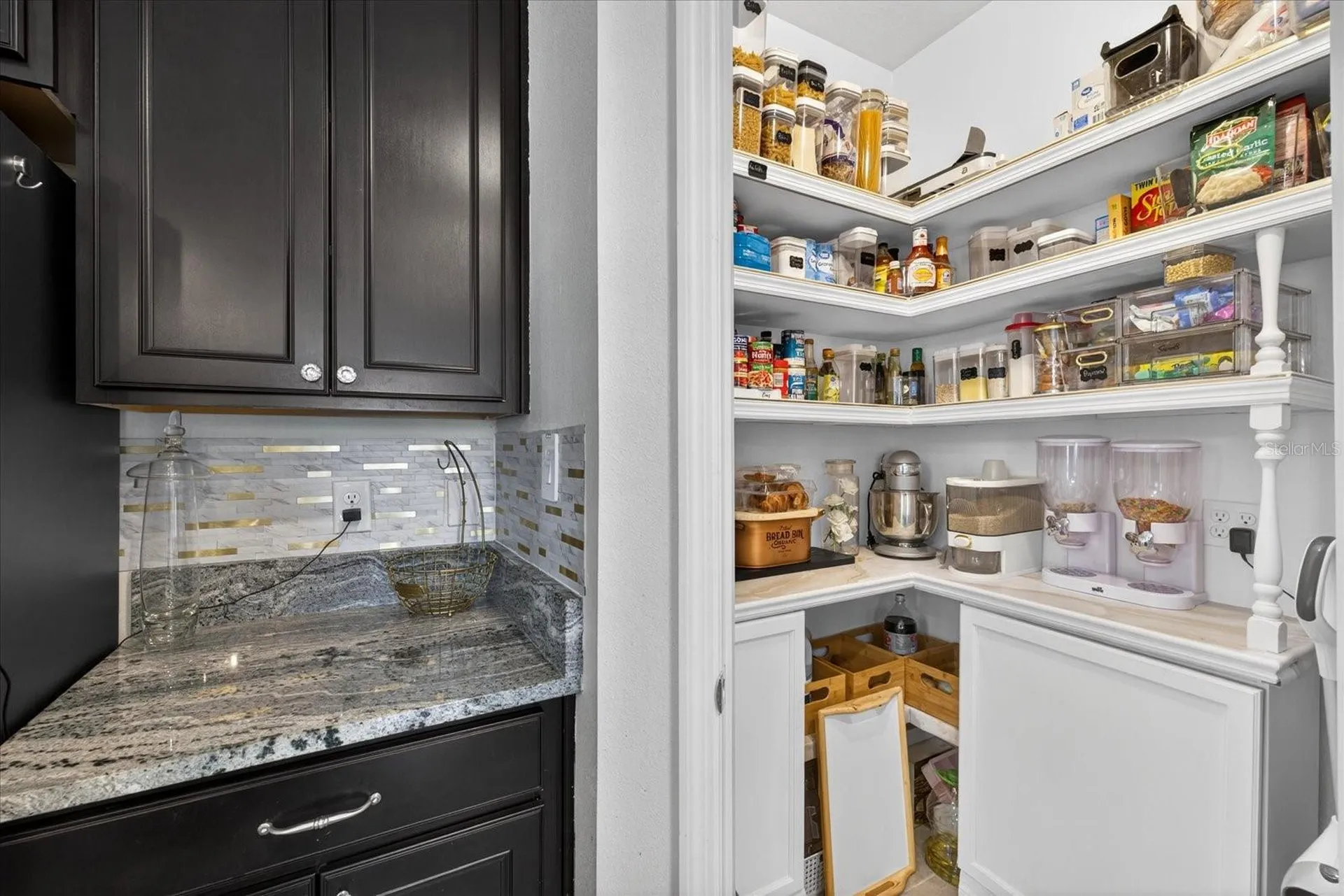13504 Golden Lime Avenue Spring Hill FL 34609