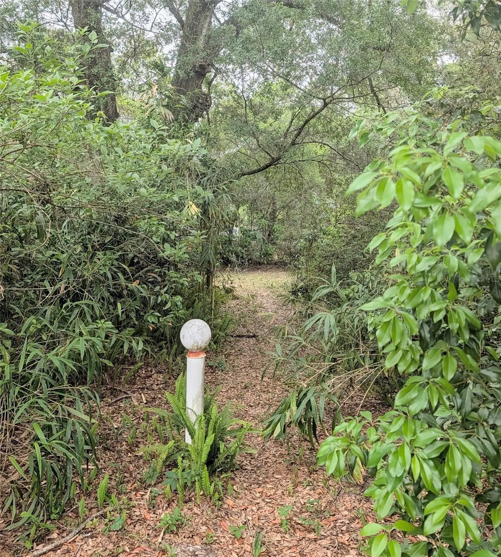 2025 Larchmont Drive Deland FL 32724
