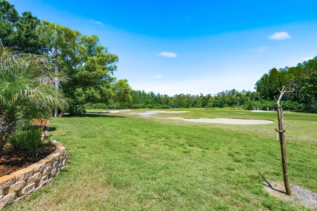 3343 Crescent Oaks Boulevard Tarpon Springs FL 34688