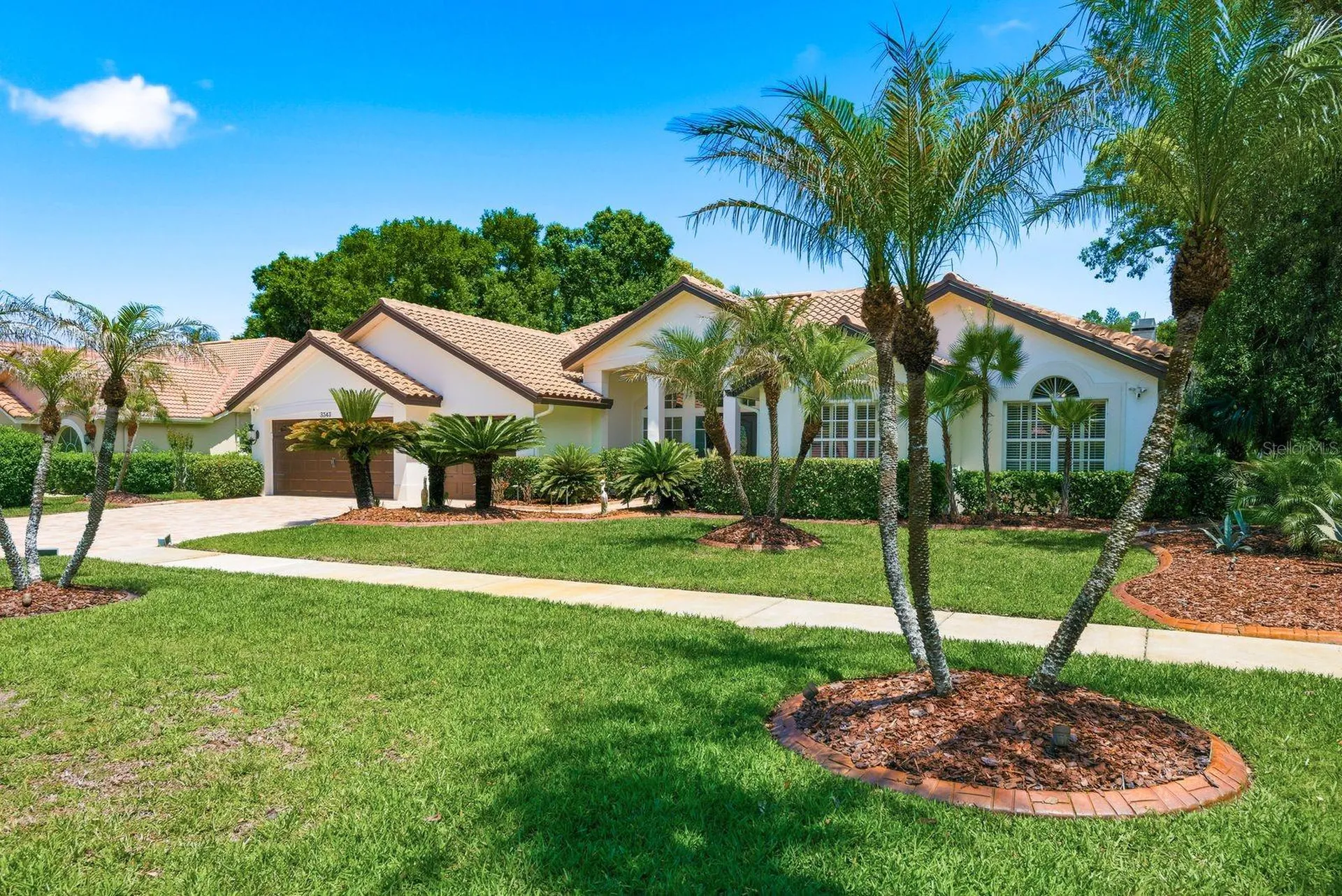 3343 Crescent Oaks Boulevard Tarpon Springs FL 34688