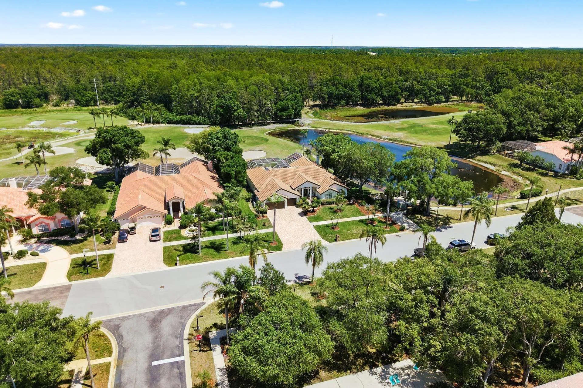 3343 Crescent Oaks Boulevard Tarpon Springs FL 34688