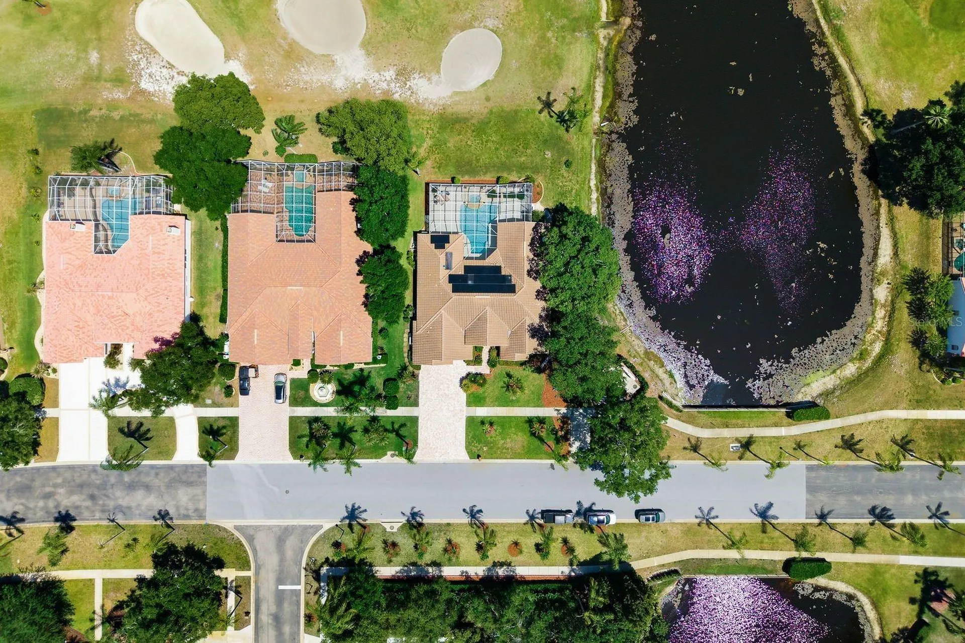 3343 Crescent Oaks Boulevard Tarpon Springs FL 34688