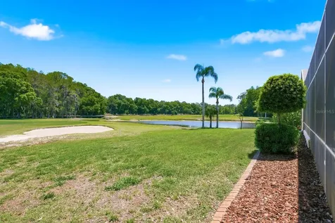 3343 Crescent Oaks Boulevard Tarpon Springs FL 34688