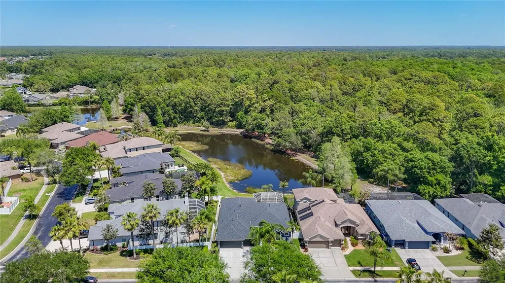 12919 Framingham Court Tampa FL 33626