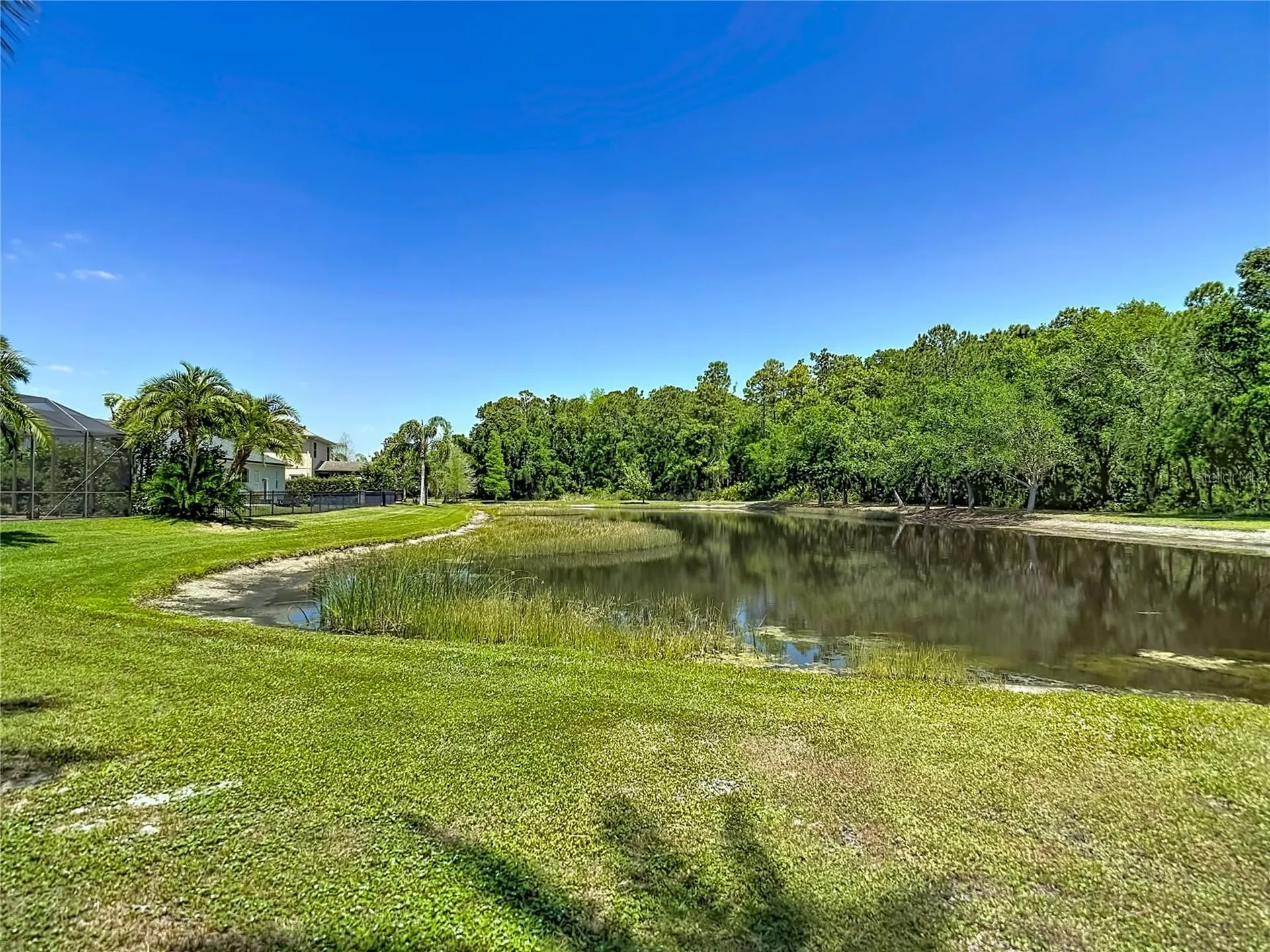12919 Framingham Court Tampa FL 33626