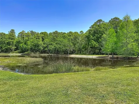 12919 Framingham Court Tampa FL 33626