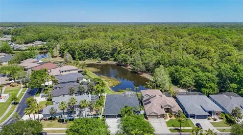 12919 Framingham Court Tampa FL 33626