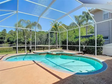 12919 Framingham Court Tampa FL 33626