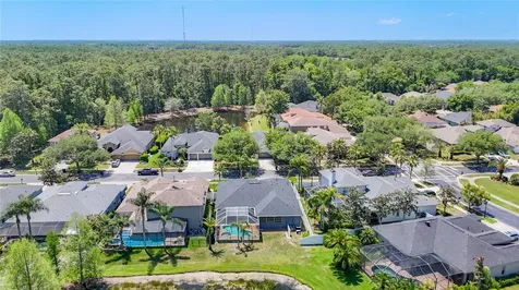 12919 Framingham Court Tampa FL 33626