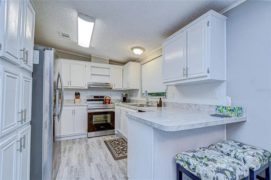 3118 Shady Creek Drive Wesley Chapel FL 33543