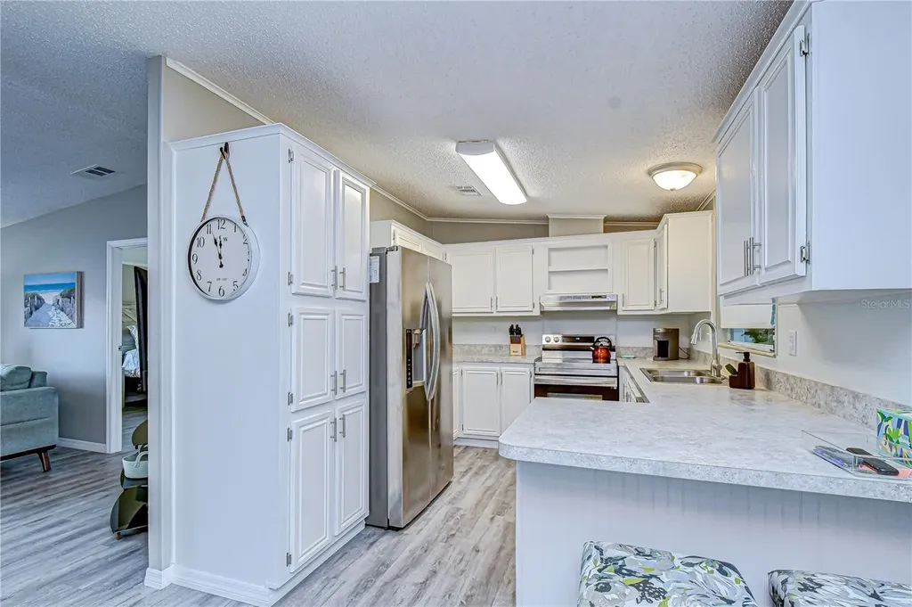 3118 Shady Creek Drive Wesley Chapel FL 33543