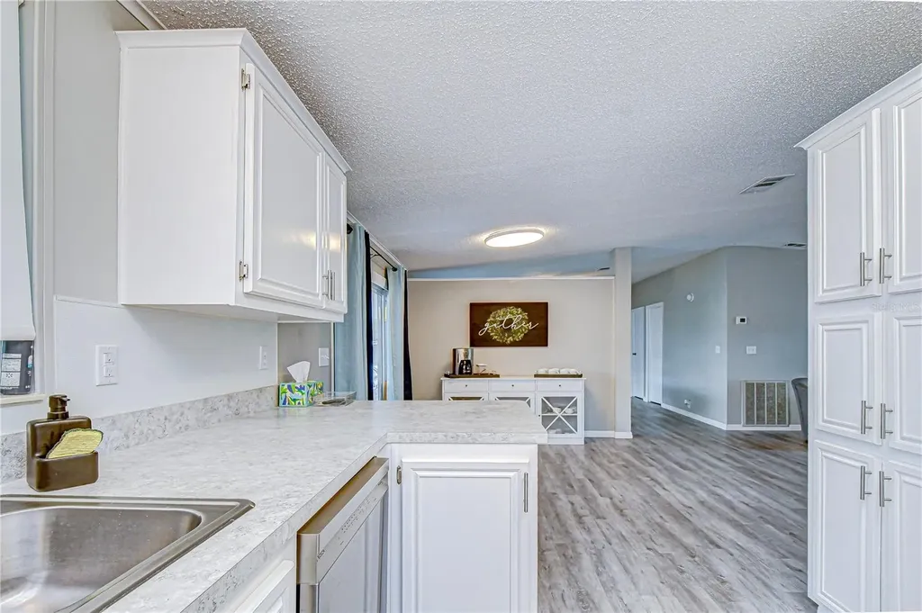 3118 Shady Creek Drive Wesley Chapel FL 33543