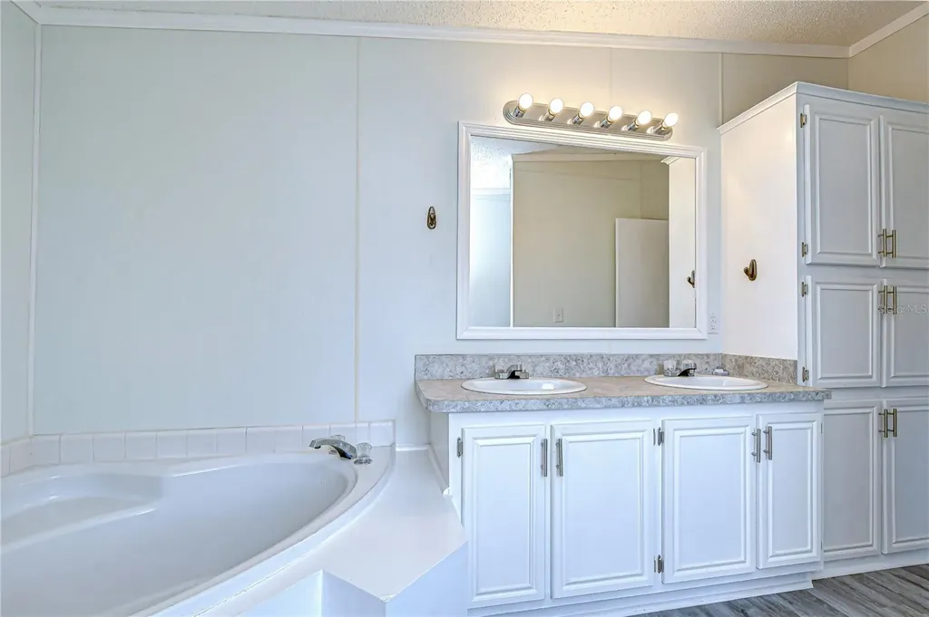 3118 Shady Creek Drive Wesley Chapel FL 33543