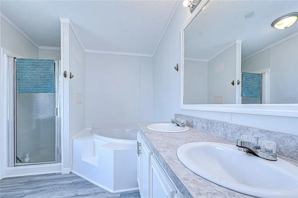 3118 Shady Creek Drive Wesley Chapel FL 33543