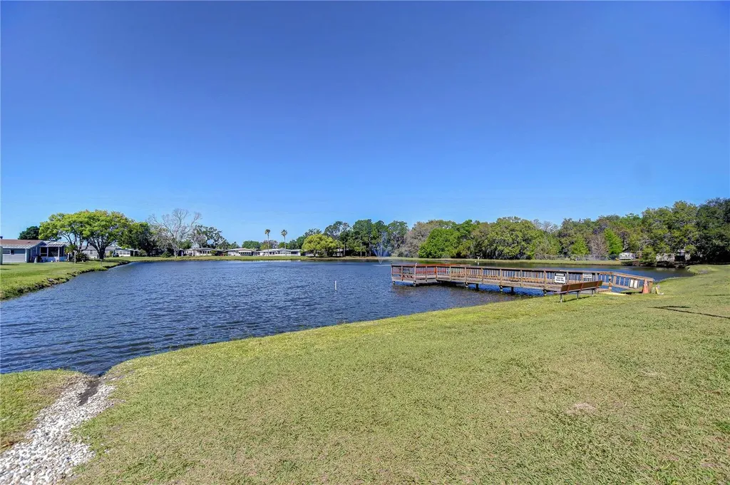 3118 Shady Creek Drive Wesley Chapel FL 33543
