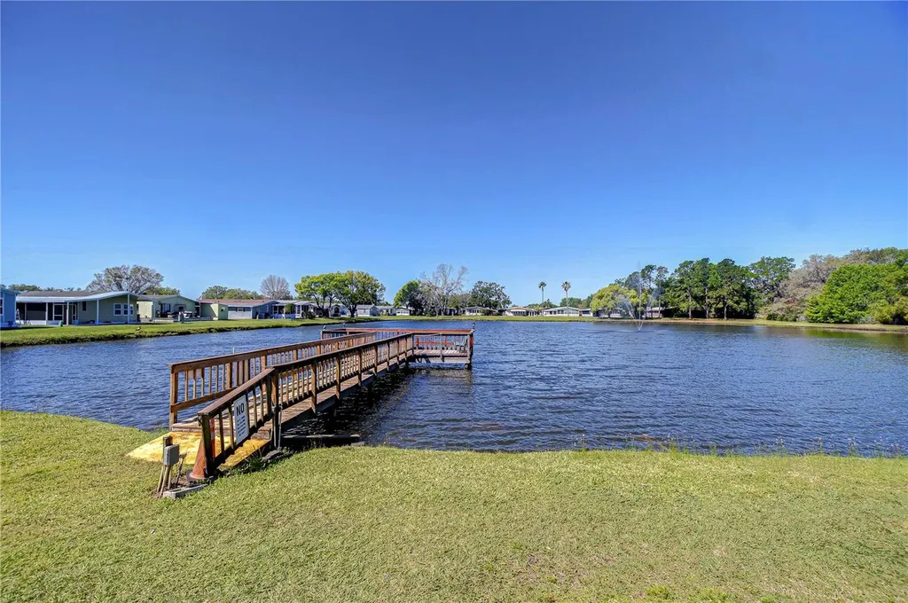 3118 Shady Creek Drive Wesley Chapel FL 33543