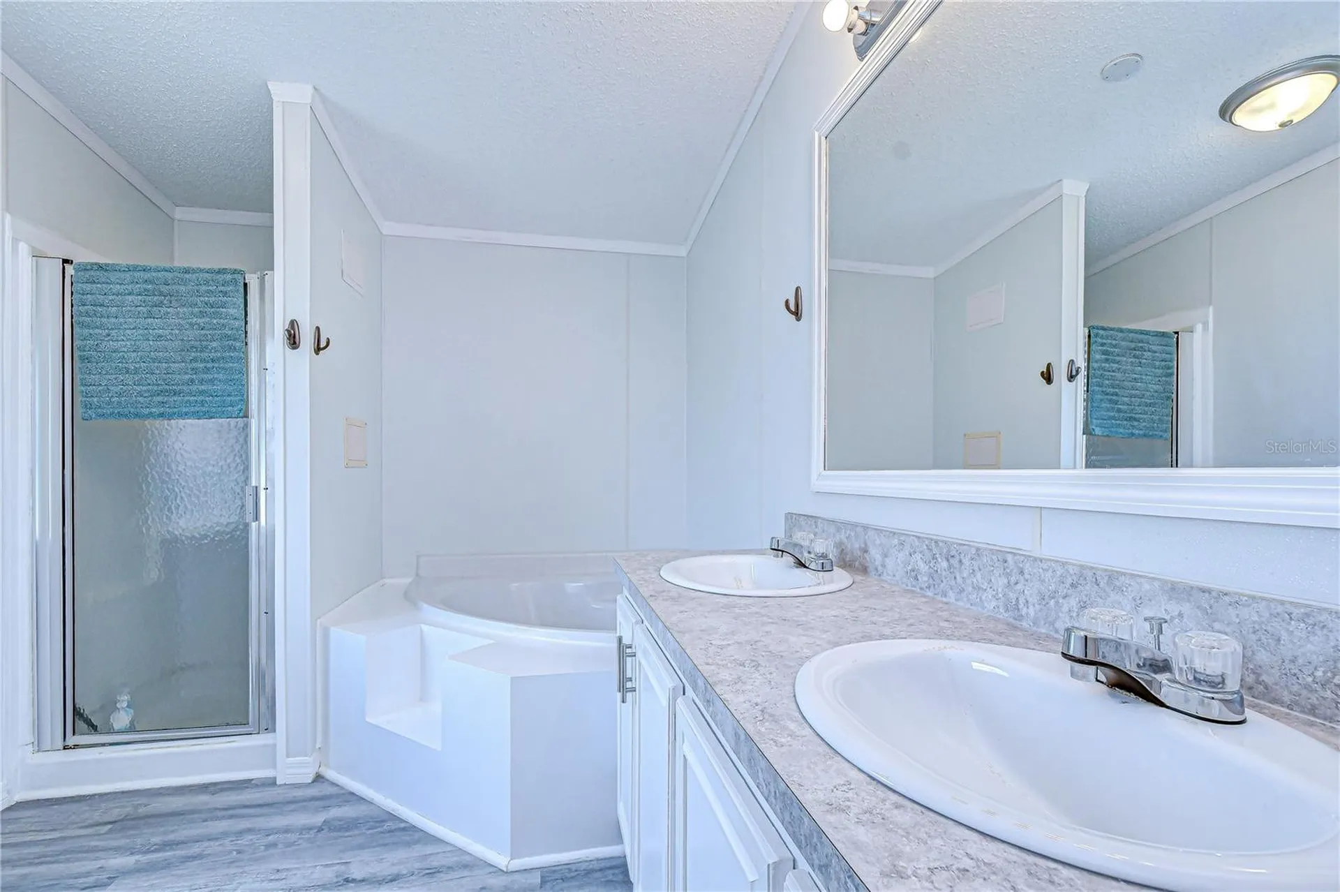 3118 Shady Creek Drive Wesley Chapel FL 33543