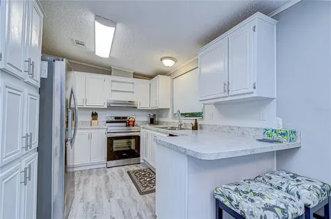 3118 Shady Creek Drive Wesley Chapel FL 33543