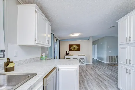 3118 Shady Creek Drive Wesley Chapel FL 33543