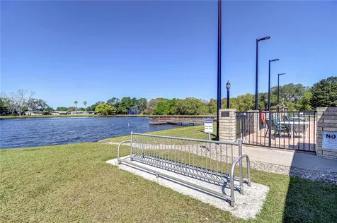 3118 Shady Creek Drive Wesley Chapel FL 33543