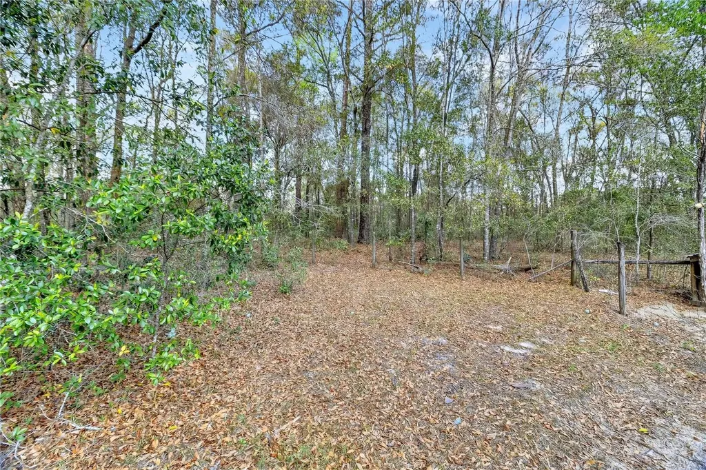 14395 NE 50th Place Williston FL 32696