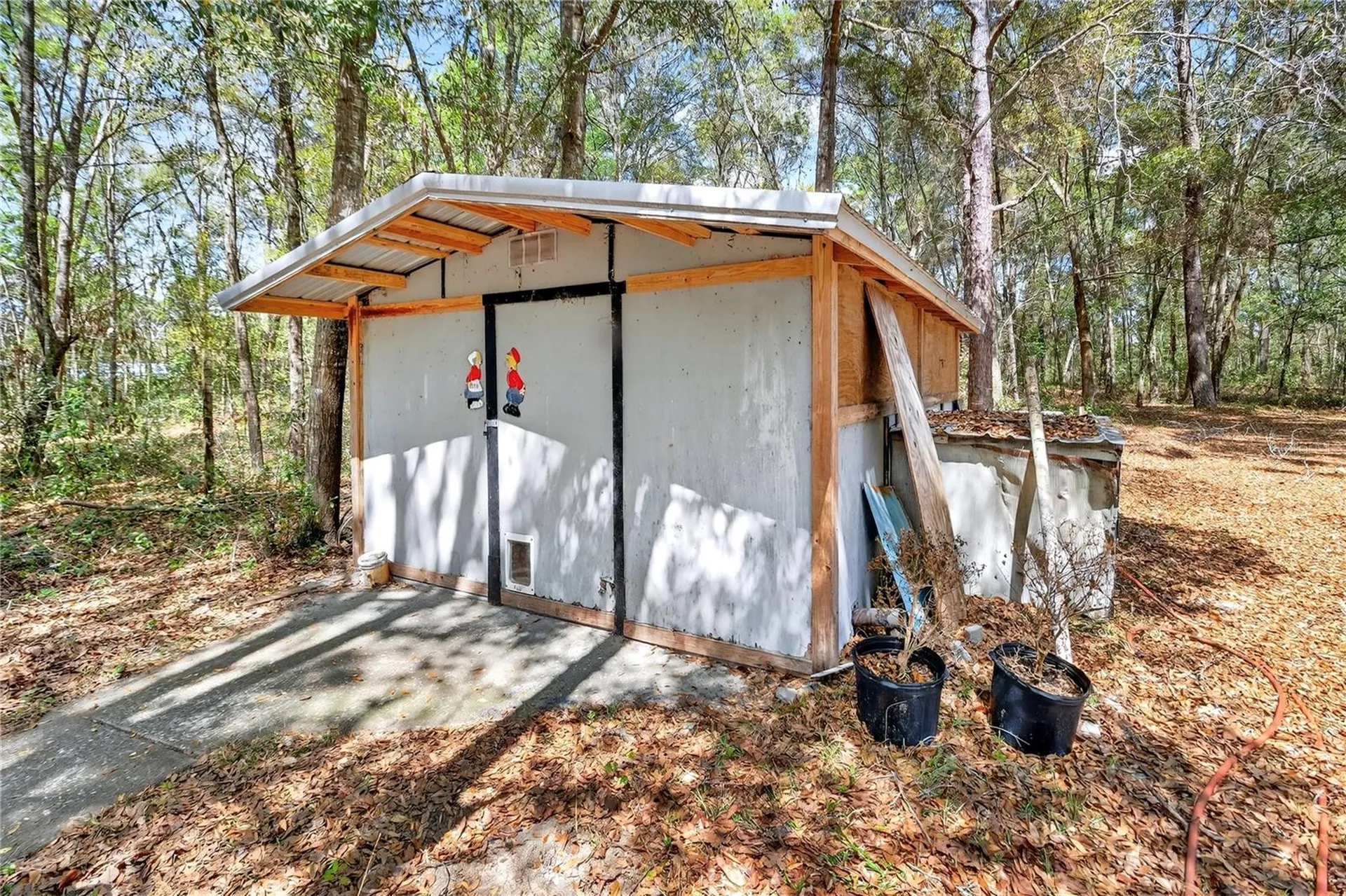 14395 NE 50th Place Williston FL 32696