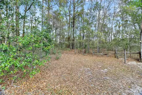 14395 NE 50th Place Williston FL 32696