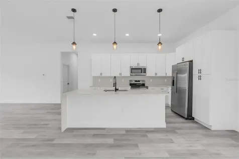 16317 SW 23rd Court Road Ocala FL 34473